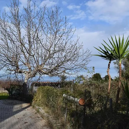 Apartment ολόκληρος όροφος αγροτική οικία