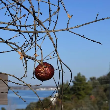 ολόκληρος όροφος αγροτική οικία Appartement *