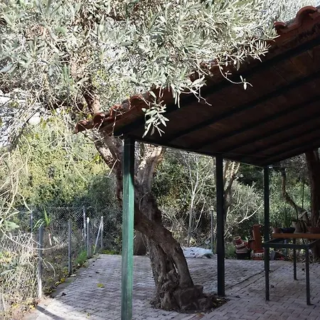 Apartment ολόκληρος όροφος αγροτική οικία