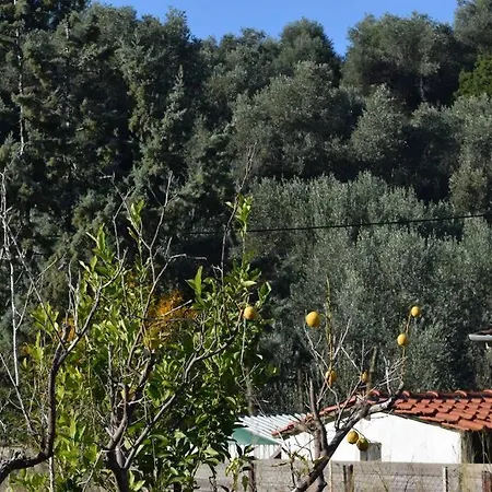 ολόκληρος όροφος αγροτική οικία * Neos Pirgos